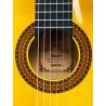 Guitarra Flamenca Alfonso González Mod. Flamenca 2