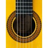 Guitarra Flamenca Alfonso González Mod. Flamenca 2N