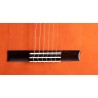 GUITARRA FLAMENCA ADMIRA ALEGRÍA ECF SERIE FLAMENCO CUTAWAY FISHMAN
