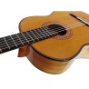 Guitarra Vicente Tatay  Mod. Pepe Habichuela con tapa de Cedro. Incluye funda 20mm