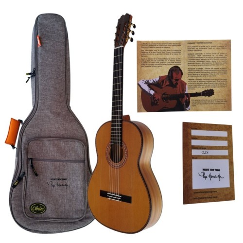 Guitarra Vicente Tatay  Mod. Pepe Habichuela con tapa de Cedro. Incluye funda 20mm