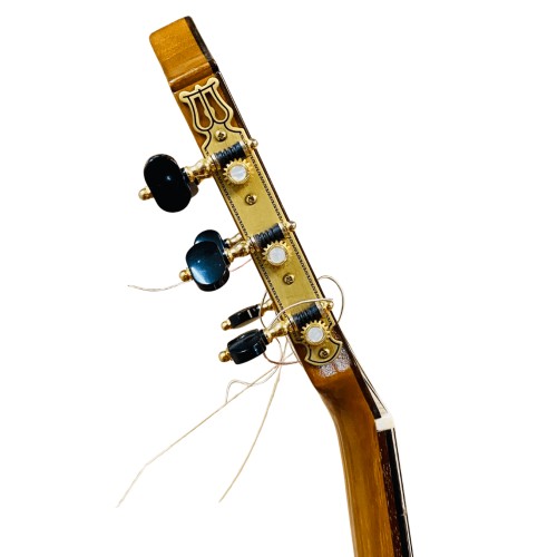 Guitarra de Darío García modelo Diamante
