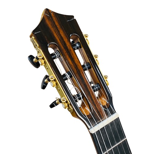 Guitarra de Darío García modelo Diamante