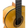 Guitarra Flamenca Vicente Tatay C320.580