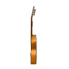 Guitarra Flamenca Vicente Tatay C320.580