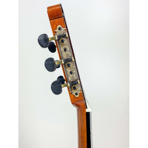 Guitarra Antonio de Toledo ATF-17N  Palosanto con precio Fishman instalado