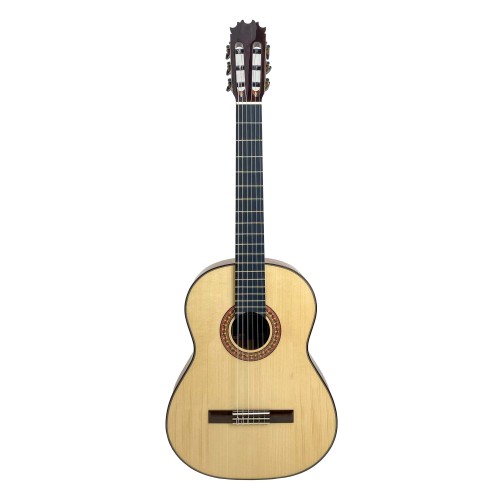 Guitarra Antonio de Toledo ATF-17N  Palosanto con precio Fishman instalado
