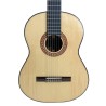 Guitarra Antonio de Toledo ATF-17N  Palosanto con precio Fishman instalado