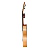 Guitarra Flamenca Antonio de Toledo ATF-16M Arce