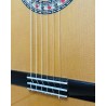 Guitarra Flamenca Antonio de Toledo ATF-16M Arce