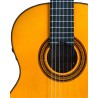 Guitarra Flamenca PRK Serie Plata (F2ª A)