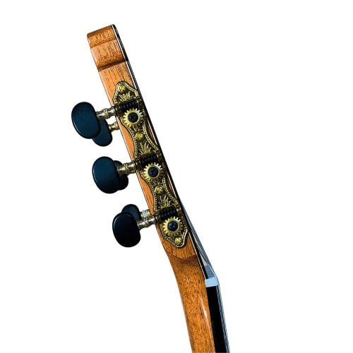 Guitarra Flamenca Antonio de Toledo ATF-17 Z de Ziricote. Tapa Torrefactada