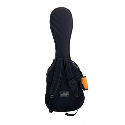 Estuche Foam Asthon ARM2400C Para Guitarra Clásica y Flamenca