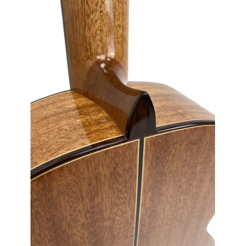 Guitarra Alfonso González Granada Sapelly Cedro