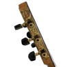 Guitarra Alfonso González Granada Sapelly Cedro