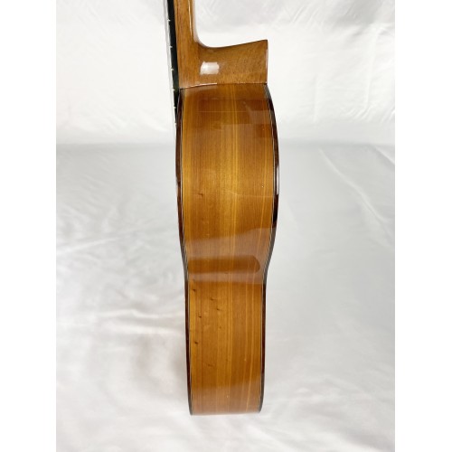 Guitarra Antonio J. Garcia 2019