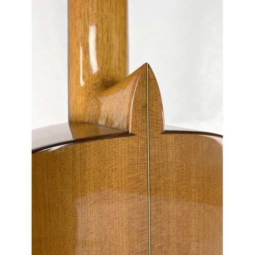 Guitarra Antonio J. Garcia 2019