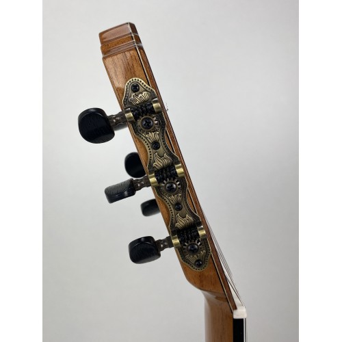 Guitarra Prudencio Saez Ziricote