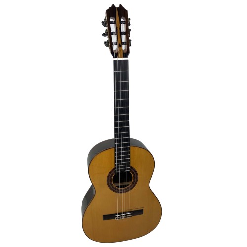 Guitarra Prudencio Saez Ziricote