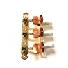 CLAVIJERO GOTOH GUITARRA CLÁSICA Y FLAMENCA 35G1600-1R-GG