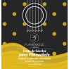 JUEGO DE CUERDAS ADMIRA FLAMENKELE