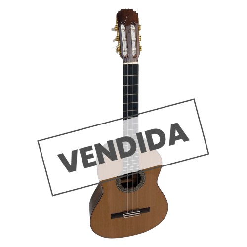▷ Guitarra Flamenca Rafa de Valeriano de Palosanto de Río