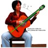Alzador para Soporte Ergonómico Efel  (repuesto original)