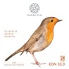 Knobloch Erithacus Nylon SN Media/Baja EDN 33.0 Juego de Cuerdas para