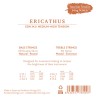 Knobloch Erithacus Nylon SN Media/Fuerte EDN 34.0 Juego de Cuerdas para