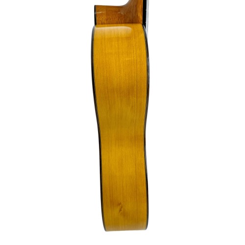Guitarra Flamenca de David Jiménez Rodríguez 2021