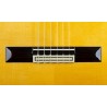 Guitarra Flamenca Antonio de Toledo Y8 Palo Santo