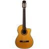 ATF-17N - GUITARRA FLAMENCA ANTONIO DE TOLEDO EN P