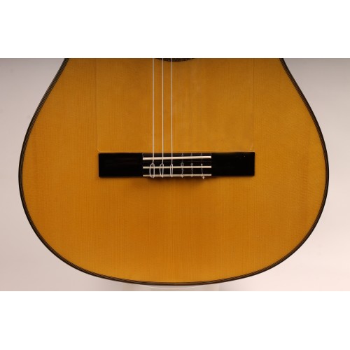 GUITARRA FLAMENCA ANTONIO DE TOLEDO ATF-17NECUT EN PALOSANTO CUTAWAY FISHMAN. Incluye funda 20mm