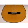 GUITARRA FLAMENCA ANTONIO DE TOLEDO ATF-17NECUT EN PALOSANTO CUTAWAY FISHMAN. Incluye funda 20mm