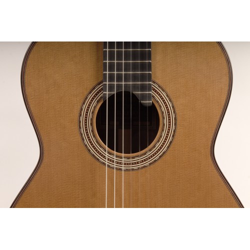 GUITARRA CLASICA ANTONIO DE TOLEDO EN PALOSANTO AT-270C MACIZO TAPA CEDRO