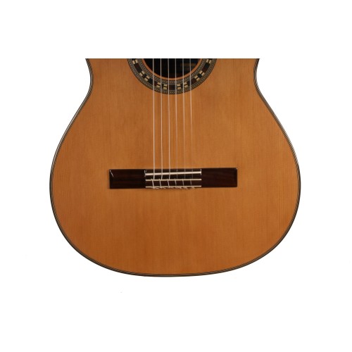 GUITARRA CLASICA ANTONIO DE TOLEDO AT-18C EN COCOBOLO, PAU FERRO TAPA DE CEDRO