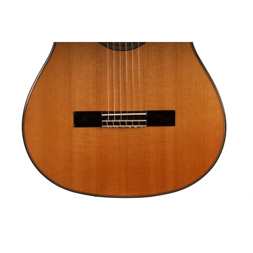 GUITARRA CLASICA ANTONIO DE TOLEDO AT-15CECUT EN PALOSANTO CUTAWAY FISHMAN TAPA DE CEDRO