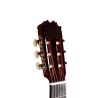 GUITARRA FLAMENCA ANTONIO DE TOLEDO ATF-17BR EN CIPRES TAPA DE PINO ABETO ROJA. Incluye funda 20mm