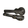 Estuche Guitarra Electrica Lp APCLP