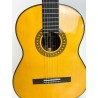 ▷ Guitarra Antonio de Toledo ATF-17NE EQ Sin Cutaway. Palosanto.