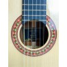 Guitarra Antonio de Toledo ATF-17N SANTOS