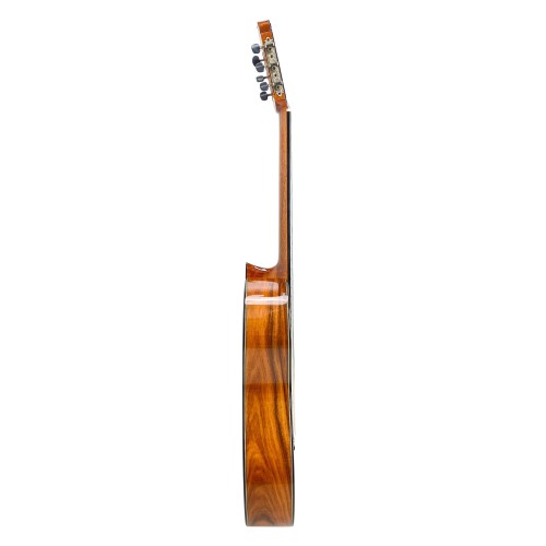 Guitarra Antonio de Toledo ATF-17N SANTOS