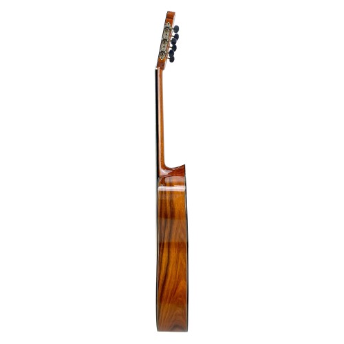 Guitarra Antonio de Toledo ATF-17N SANTOS