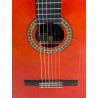 ATF-17NR - GUITARRA FLAMENCA ANTONIO DE TOLEDO EN PALOSANTO TAPA DE PINO ABETO ROJA. Incluye funda 20mm