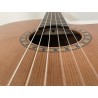 GUITARRA ADMIRA CROSSOVER CON FISHMAN PRESYS BLEND