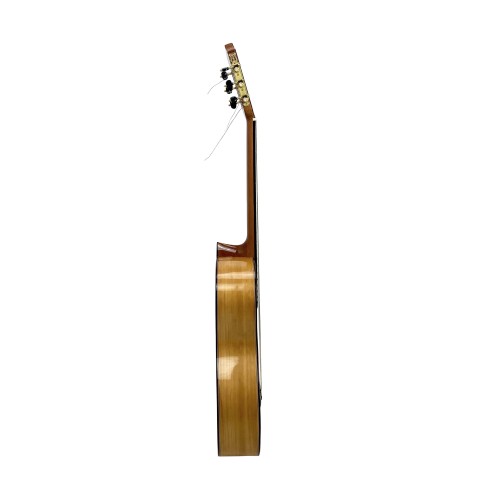 Guitarra de Darío García modelo Diamante del 2023