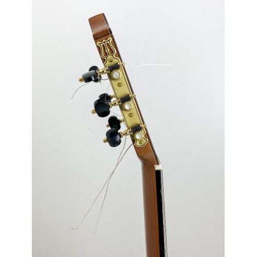 Guitarra de Darío García modelo Diamante del 2023