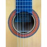 Guitarra Flamenca Altamira N700F+