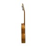 Guitarra Flamenca Altamira N700F+