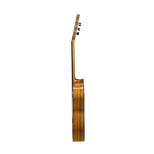 Guitarra Flamenca Altamira N700F+